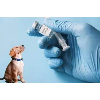 Veterinary Vaccine